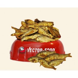 Vector-Food - York Suszona...