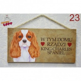 Tabliczka z rasą psa "King Charles Spaniel"