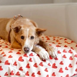 Baylabel - Mata Mon Amour...