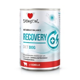 Disugual - Recovery 400g -...