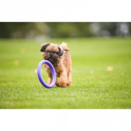 Puller - Mini dla psów małych ras