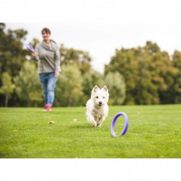 Puller - Mini dla psów małych ras