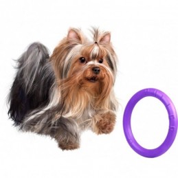 Puller - Mini dla psów małych ras