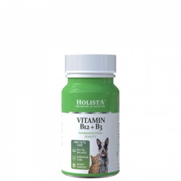 HolistaPets - Witamina B12...
