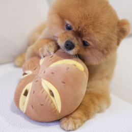 Pups & Bubs - CHEESY BREAD...