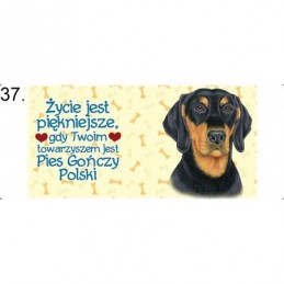 Kubek z rasą psa - Pies gończy polski