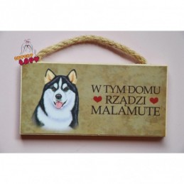 Magnes z rasą psa - Malamute