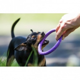 Puller - Micro dla psów miniaturowych ras